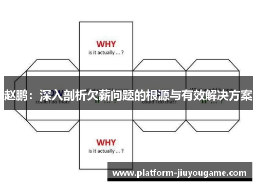 赵鹏：深入剖析欠薪问题的根源与有效解决方案