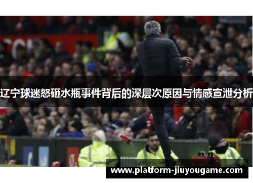 辽宁球迷怒砸水瓶事件背后的深层次原因与情感宣泄分析